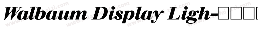 Walbaum Display Ligh字体转换